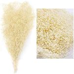 MIHUAGE Dried Gypsophila Flower Bundles Baby’s Breath 100% Natural for Wedding DIY Arrangements Home Decorations Million Star Dried Flower (White)