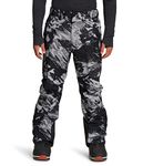 THE NORTH FACE Men's Freedom Insulated Pant, TNF Black Tonal Mountainscape Print, Small Regular, Tnf Black Tonal Mountainscape Print, S