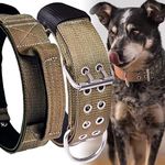 Large Dog Collar Heavy Duty - 2 inc