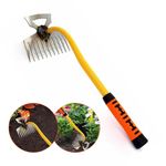 Lawn Weed Removal Tool