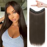 REECHO Invisible Wire Hair Extensions with Transparent Headband Adjustable Size Removable Secure Clips in Straight Secret Hairpiece for Women (20 Inch (Pack of 1), Chestnut Brown)