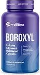 Canker Sores? Try Boroxyl for Canke