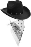 Mens Novelty Cowboy Hats