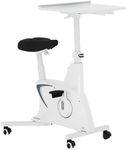FLEXISPOT 3-IN-1 Exercise Bike, Und