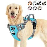 Lukovee No Pull Dog Harness, No Choke Pet Harness with 2 Leash Clips and Easy Control Vertical Handle, Adjustable Soft Padded Dog Vest for Small, Medium and Large Dogs (Large, Blue)