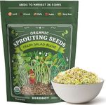 Seedboy Organic Sprouting Seeds - Salad Blend Variety- Non-GMO, USA Grown Microgreens Mix - Alfalfa, Broccoli, Radish, Mung Bean, Lentil - Makes 8 Quarts of Sprouts, 24 Servings (8 oz) (Salad Mix)