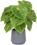 LUWENER Artificial Potted Green Lea