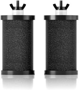 JOYPUR Black Thickened Purification Elements,Replacement Filters for ProOne® and Berkey® Filters,ProOne® Big+ or Berkey® Big Countertop Gravity Water Filter System (2 Pack)