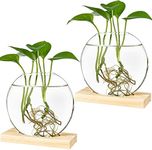 Kingbuy Desktop Round Glass Planter