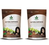 Havintha hair mask for hair fall growth split ends luster shining nourishment 227 grams - Pack of 2