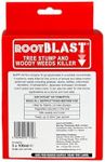 Rootblast | Tree Stump and Woody We