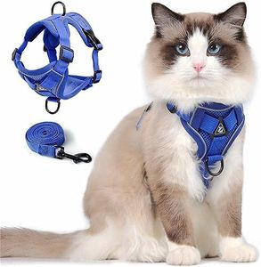 Cat Harnes