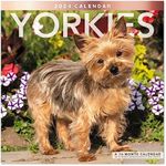 2024 Yorki