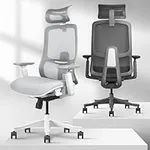 Takumi Ergonomic Office Chair lumba