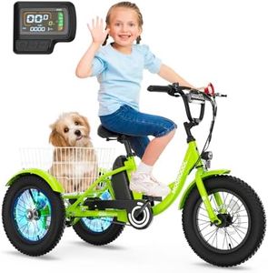 NAIZEA Electric Kids Bike - 16 inch Kids Trike for Boys Girls Age 6-16, e Bike for Kids 250W, Kids Balance Bike with Adjustable Seat,Kid's Bikes with Basket, Children Bicycle Multiple Colors