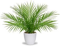 Briful Fake Plant 15’’ Artificial P