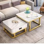 ETILAN Modern Set of 2 Metal Frame Marble Look Coffee Table End Table Center Table Snackes Tea Table for Living Room Bedroom (White Golden)