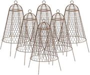 Set of Six Panacea 83280 Rustic Wire Garden Cloches, 20" H Each