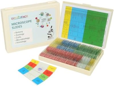 Microscope Slides for Kids