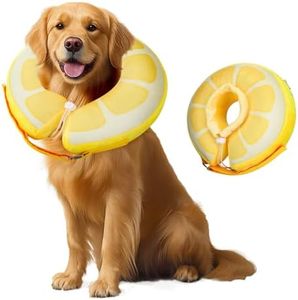 Collerette Chien Gonflable, Collier de Protection Anti Lechage pour Chiens et Chats, Collier de Récupération Souple pour Chien de Compagnie (Citron, L)