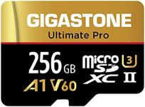 [5-Yrs Free Data Recovery] Gigaston