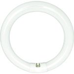 Sylvania 20142 - FC12T9/CW/RS -32 Watt T9 Cool White Circular Fluorescent Light Bulb, 12" Diameter