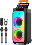 HWWR Karaoke Machine with 2 Wireles