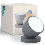 Olly Light Therapy Lamp. Daily Sunlight to Sleep Well, Day Night, UV-Free, Rechargeable and Portable, 2step Brightness Mode, 25minutes Automatic Timer(Day-Solid Gray)