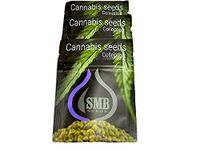 Cannabis Seeds