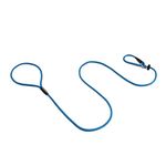 Dog & Field Signature Slip Lead for Dogs,Royal Blue. 1.25m Lightweight Slip Leash, with Sliding Rubber Stopper for Training - No Collar or Harness Needed (Royal Blue)