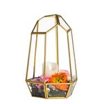 NCYP 25cm Gold Geometric Glass Terrarium Planter, Handmade Irregular Decor Flower Pot for Succulents Plants, Modern Centerpiece for Wedding, Home Garden (Terrarium Only, No Door)