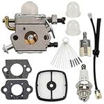 Wellsking C1U-K78 Carburetor for Ec