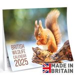 Calendar 2025 UK Wildlife - A3 Month to View Features 12 High Resolution Images (2025)