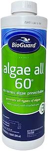 BioGuard Algae All 60-1 Quart, Non-Foaming Algae Preventative, Non-Staining & Non-Foaming, Ideal for Swimming Pools with Attached Spas or Fountains