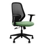Frido Glide Ergonomic Office Chair with Height Adjustable Lumbar Support | Breathable Mesh Back | 2D Adjustable Armrests | Home & Work Desk Chair for Long Sitting Hours | 100 kg Capacity | Green |