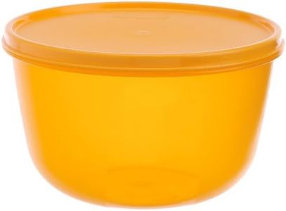 Tupperware Plastic 2L Bowl For Idly Dosa Batter, Snacks, Fruits, Cookies, Curd, Blue