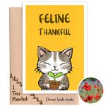 1 Tree Cards Recycled Thank You Cat Card with Tree Planting Gift & Plantable Seed Card that Grows Flowers - For Friend, Teachers Assistant, Nursery