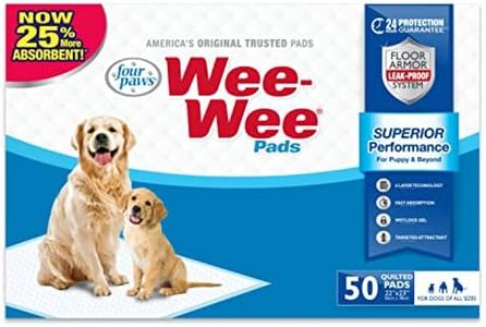 Four Paws 