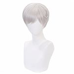 Lshpresx Norman Wig Cosplay Costume Wigs Short Anime Synthetic Hair