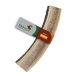 Elkhorn Premium Chews x Large, Split, Single Pack - Grade A Premium Elk Antler Chew for 50+ Lb Dogs - Naturally Shed From Wild Elk -