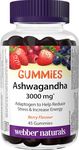 Webber Naturals Ashwagandha Gummy, 45 Berry Flavoured Gummies, Helps to Reduce Stress and Increase Energy, Vegan