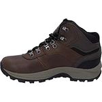 Hi-Tec Men's Altitude Vi I Waterpro