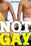 Not Gay: Sex between Straight White Men (Sexual Cultures, 19)