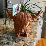 Cute Highland Cow Planter Plant Pot - Resin Succulent Flowers Pots, Funny Planter Storage Containers for Outdoor Indoor Backyard Balcony Planters Home Garden Decor Gifts (Brown)