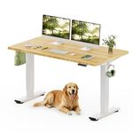 FLEXISPOT Adjustable Desk, Electric Bamboo Standing Desk Sit Stand Desk, 55 x 28 Inches Bamboo Desk Top Home Office Table Stand up Desk(White Frame+Rectangular Top)