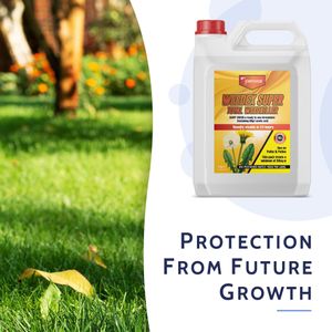 Weedex Pet Friendly Weed Killer, 5L – Safe Garden Herbicide