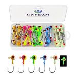 CWSDXM Fishing Jig Heads Assorted Size Round Painted Ball Head Hooks for Walleye Bass Trout Crappie Jig Heads Freshwater Saltwater,1/2oz 3/8oz 1/4oz 1/8oz 15-40pcs (14g(0.49oz)-15pcs)