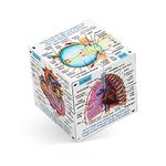 ZooBooKoo Scientific Human Body Cube Book - Systems and Statistics