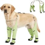Dog Boots with Suspenders – Waterpr