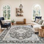 HILORUUG Washable Area Rug 8x10 - Bedroom Living Room Large Indoor Rugs Soft Oriental Vintage Rugs Non-Slip Backing Stain Resistant for Farmhouse Kitchen (Slate Grey/Black 8x10)